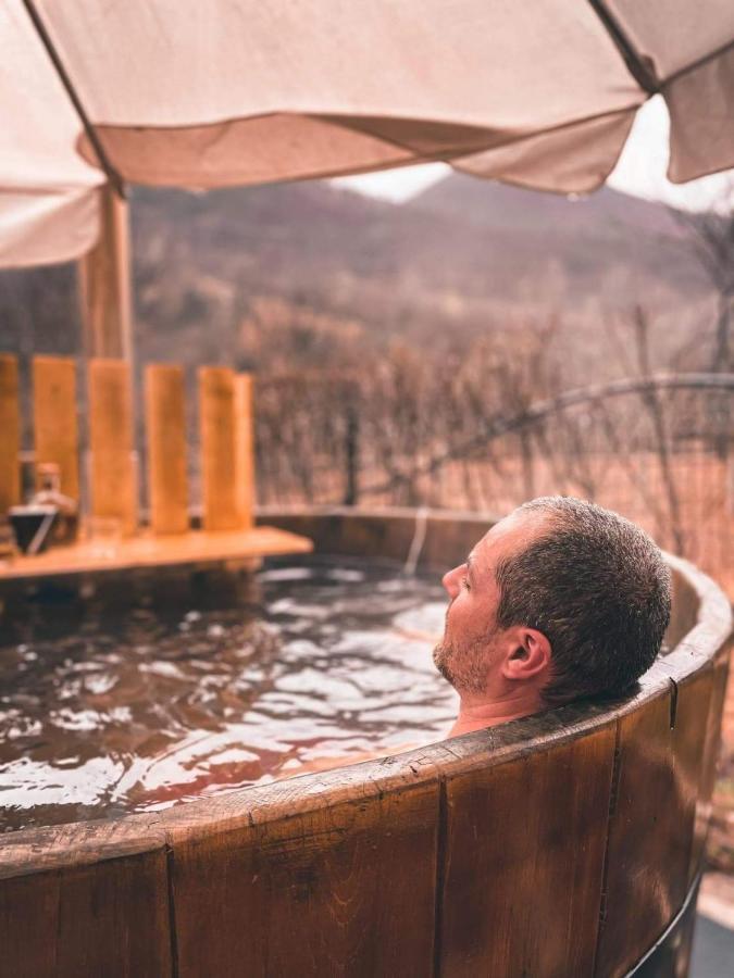 River Retreat 호텔 Lotrioara 외부 사진